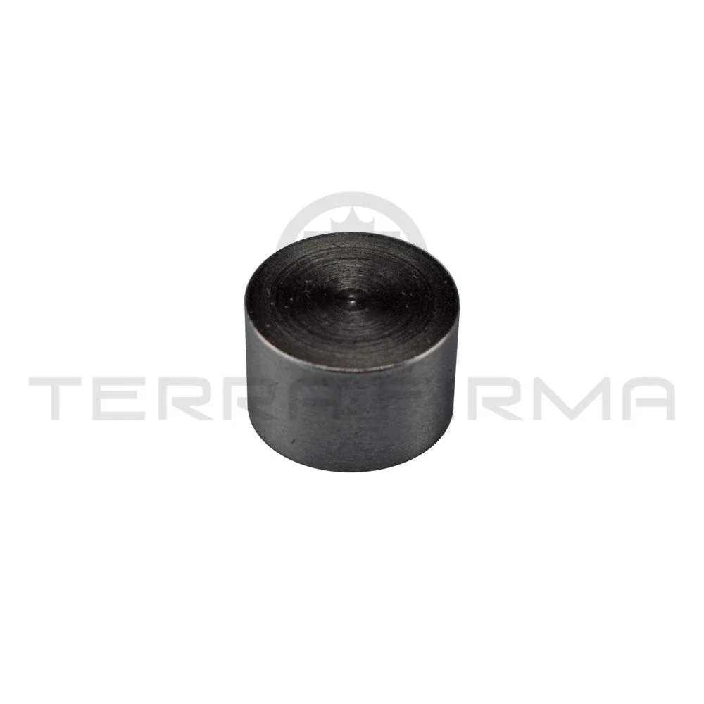 Nissan Fairlady Z32 Engine Block Oil Plug