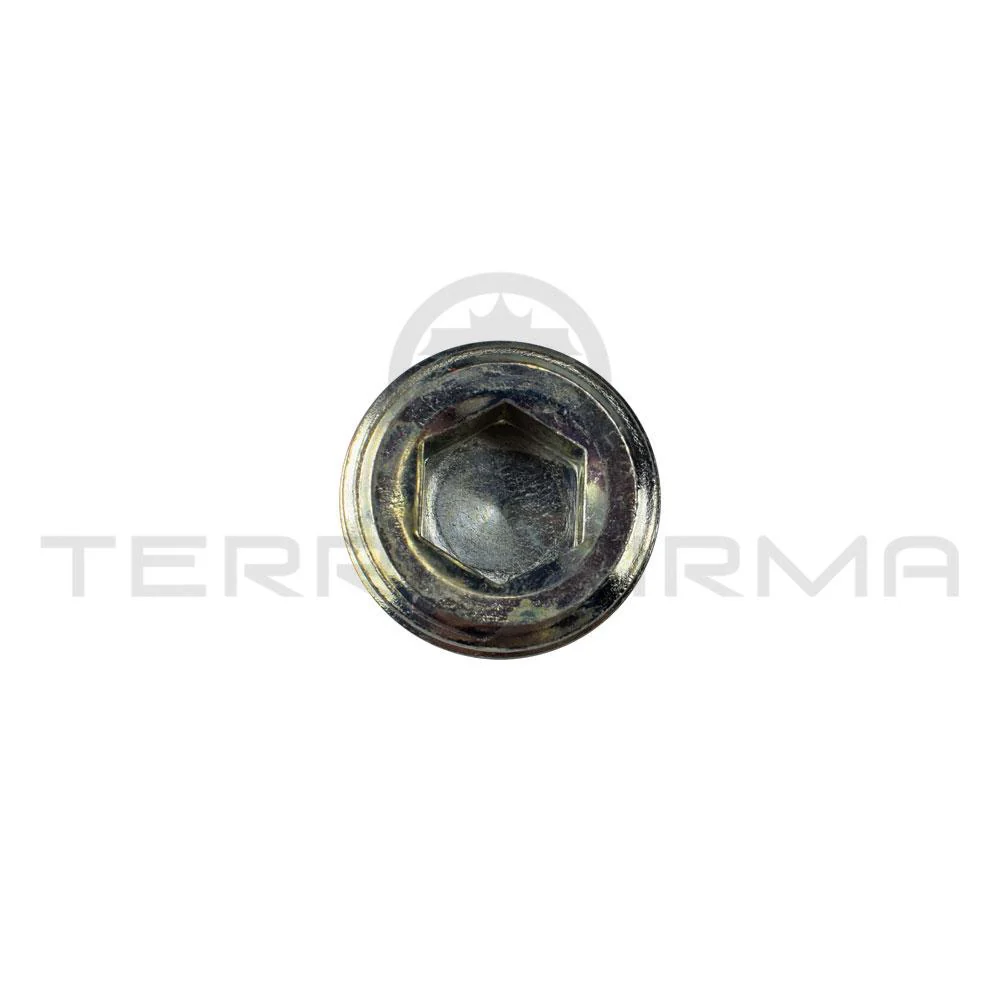 Nissan Laurel C33 Cylinder Head Coolant Passage Plug RB20
