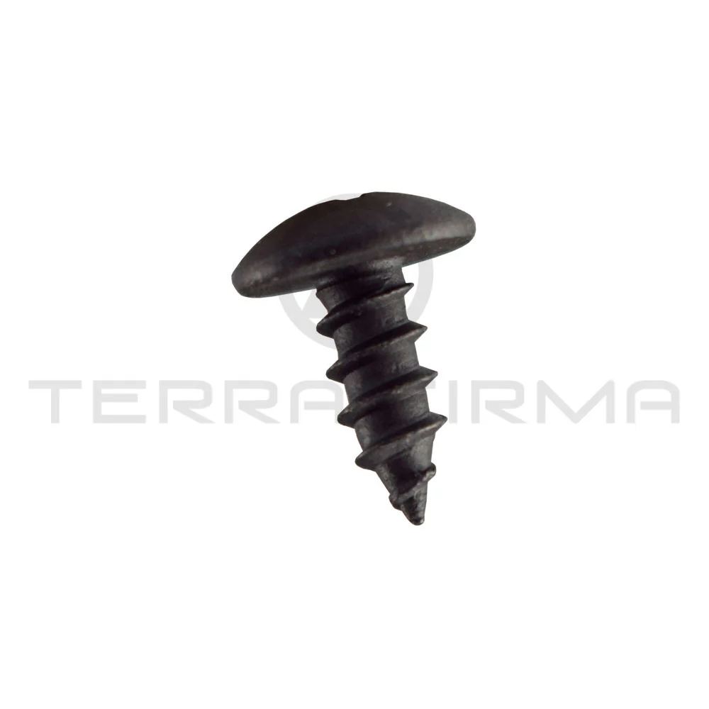 Nissan Laurel C33 Lower Window Molding Screw