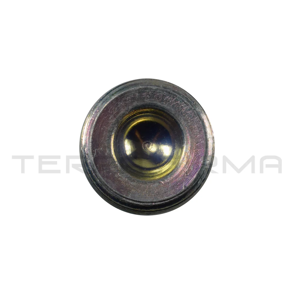 Nissan Skyline R32 GTR/GTS4 Rear Drive Differential Fill Plug - Image 2